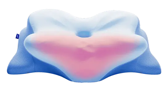 Derila Ergo  Pillow  Buy